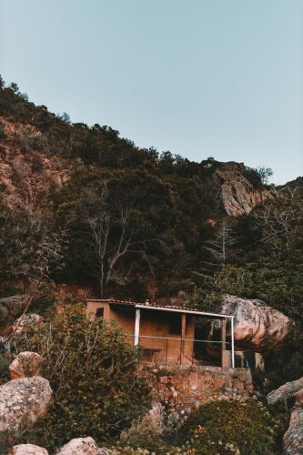 _D9A3129